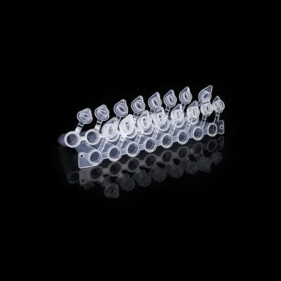 قبعات على شكل قبة 0.2 مللي أنبوب PCR 8 شريط مع غطاء متصل PCR ثمانية أنابيب متصلة